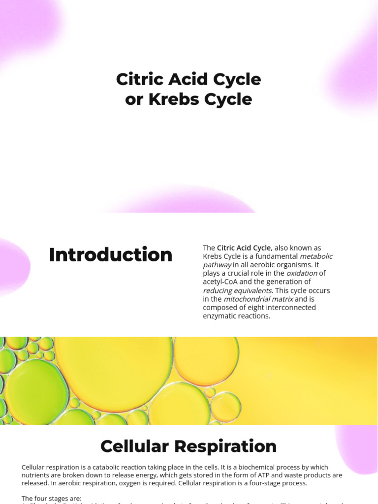 Citric Acid Cycle Shivam | PDF | Diet & Nutrition | Chemistry