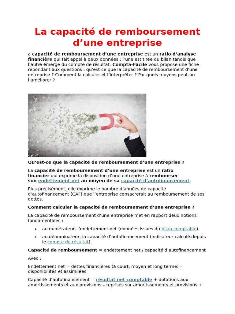 Capacité de Remboursement d'Entreprise | PDF | Dettes | Prêts