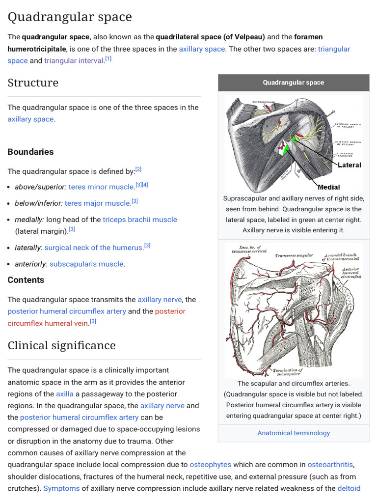 Quadrangularspace Wikipedia 1745132648126 | PDF | Limbs (Anatomy ...