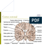 Cortes Con Refer en CIA