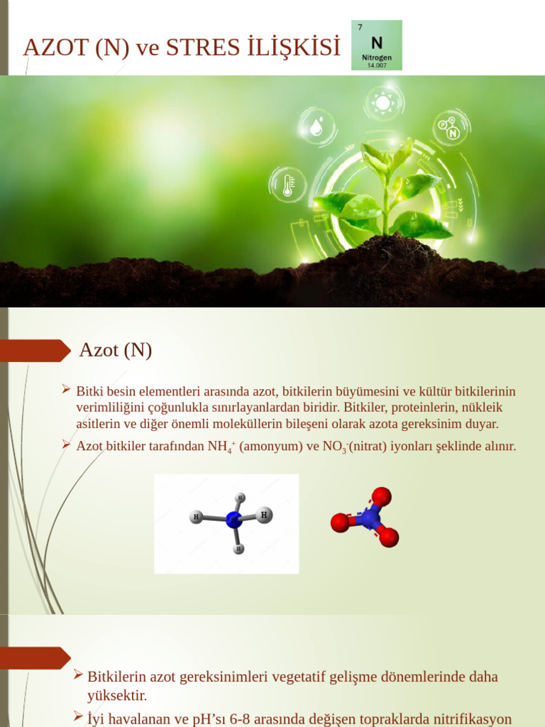 Azot | PDF