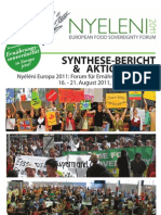 DE - Nyeleni11 Synthesis