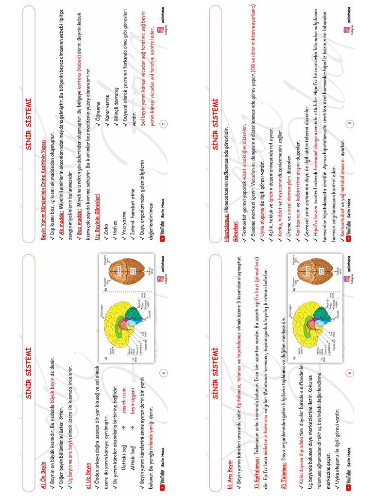 6 9 | PDF