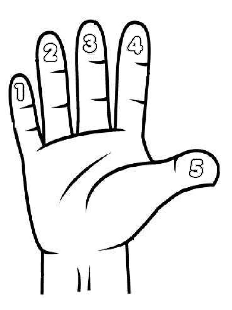 Hand | PDF