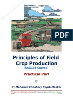 Practices of Field Crop Production