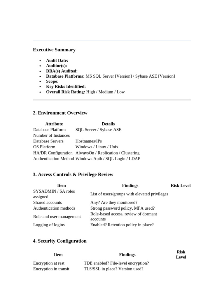 Database Audit Report Overview | PDF | Microsoft Sql Server | Software