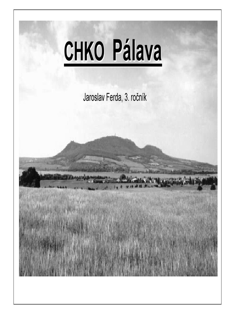 P Lava Prezentace | PDF