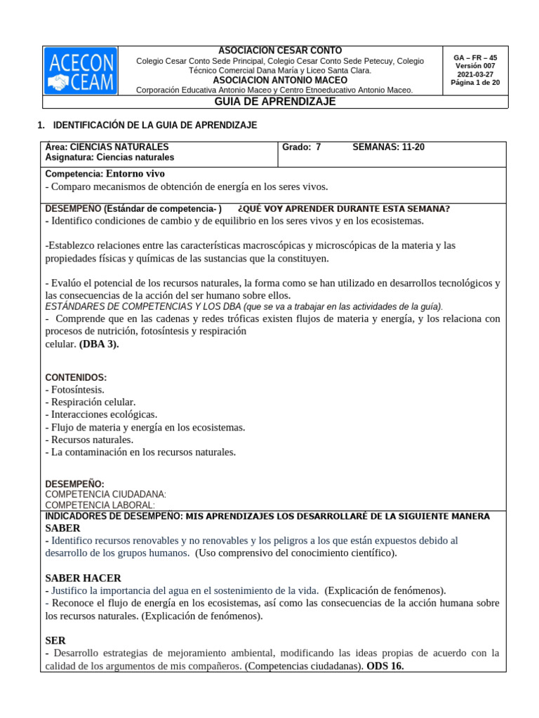 Guia de Aprendizaje Grado 7 Semana 11 A La 30 | PDF | Respiración ...
