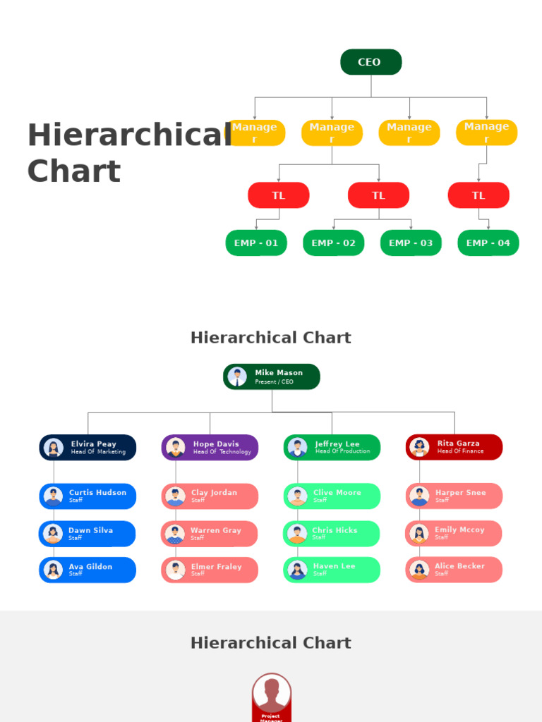 Hierarchical Organizational Charts Overview | PDF | Marketing | Icon ...