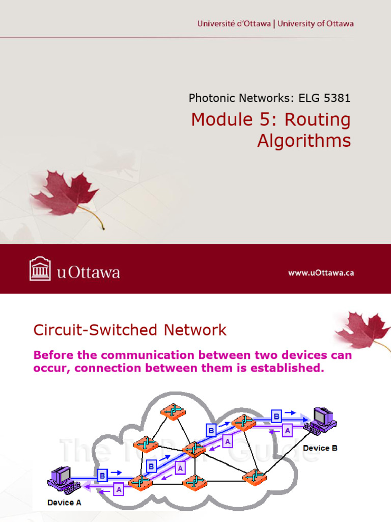 Routing Algorithms in Photonic Networks | PDF | Routing | Computer Network