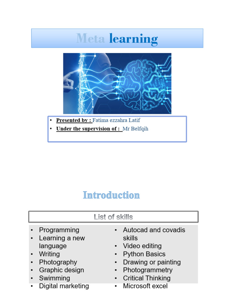 Meta Learning | PDF