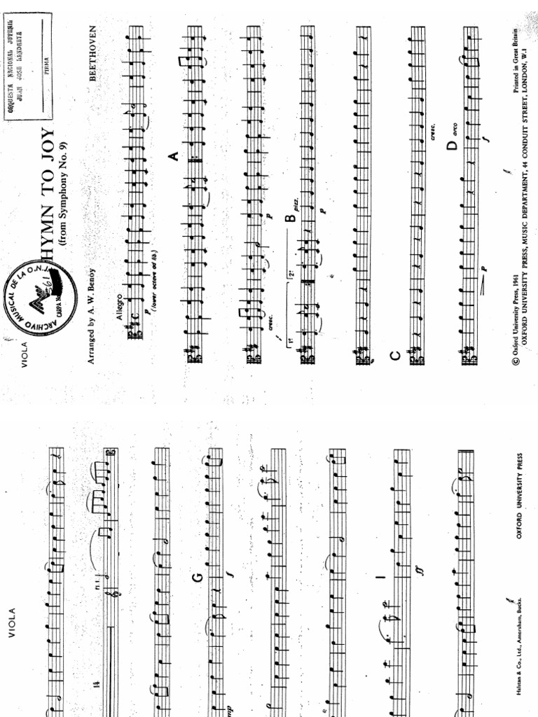 Viola | PDF
