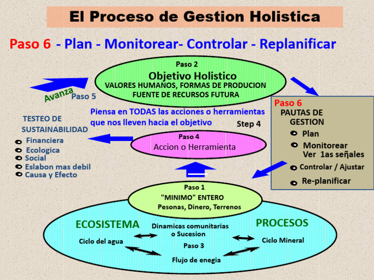 Proceso de Gestión Holística | PDF