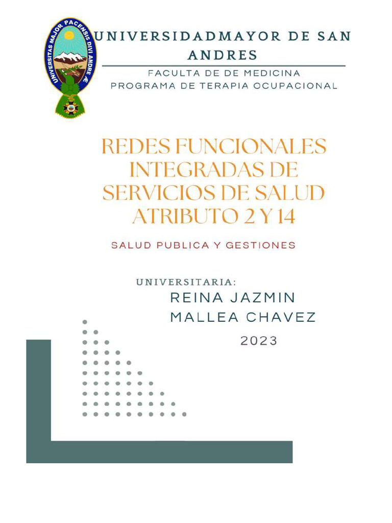 Redes Funcionales Integradas de Servicios de Salud | PDF | Terapia ...