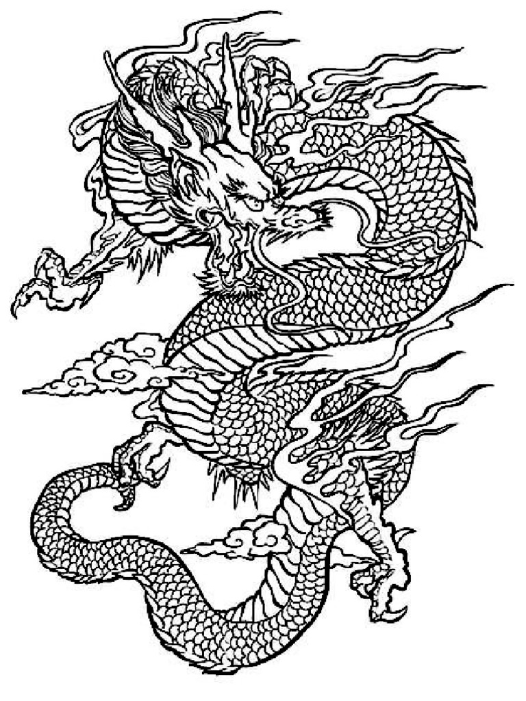 Dragon | PDF