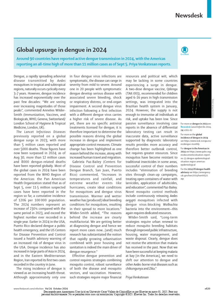Global Upsurge in Dengue in 2024 | PDF | Public Health | Microbiology