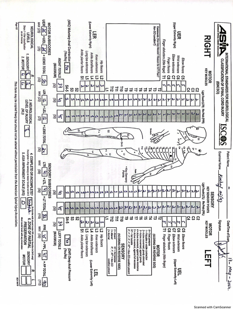 Asia Scale | PDF