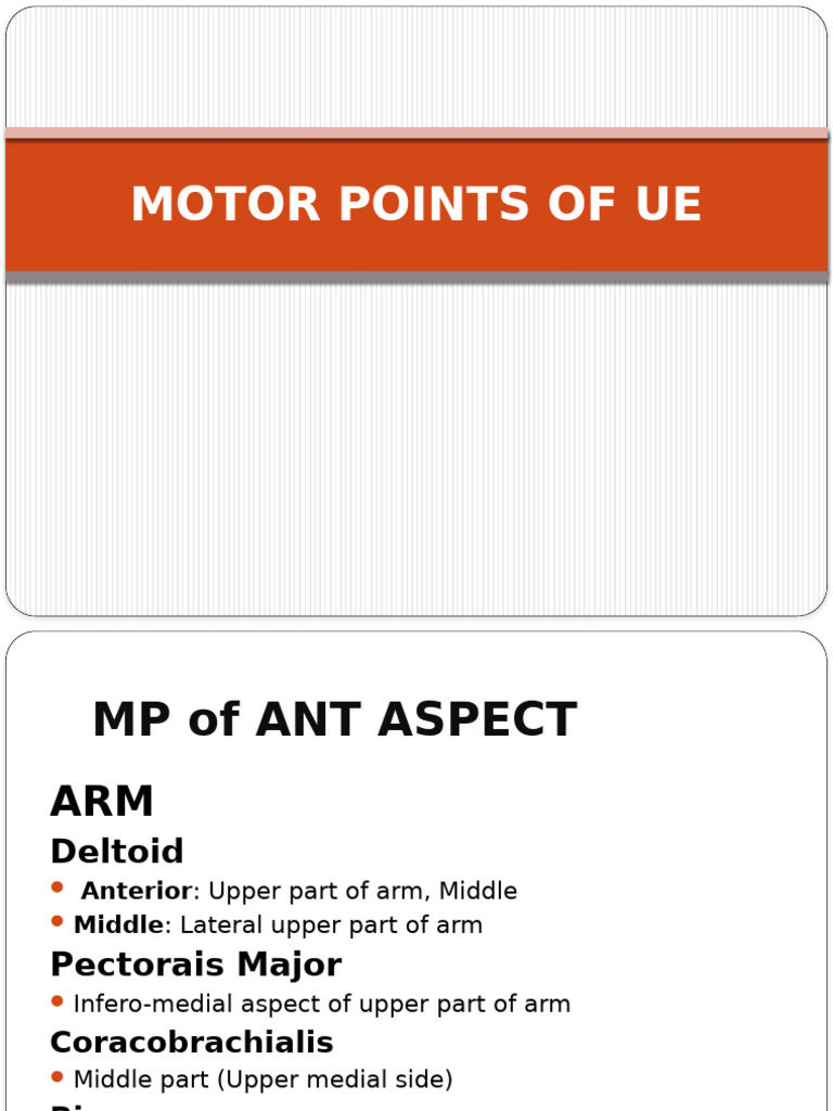 Upper Limb Motor Points Guide | PDF