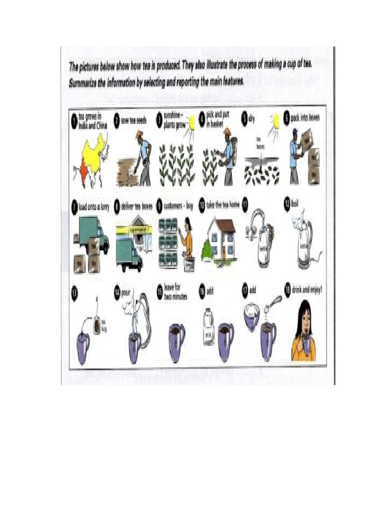 These Pictures Illustrate How Tea Is Produced and The | PDF
