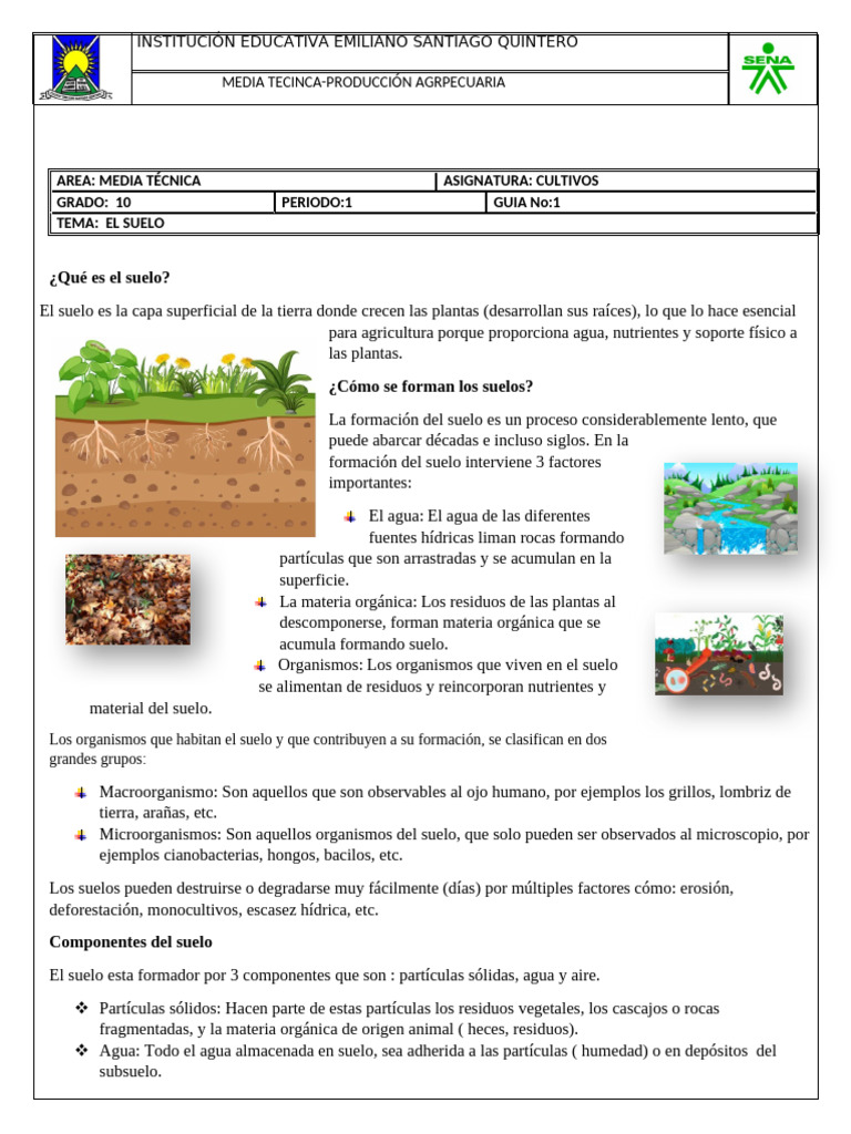Importancia de los Suelos Clase 1 | PDF | Suelo | Ciencias de la Tierra