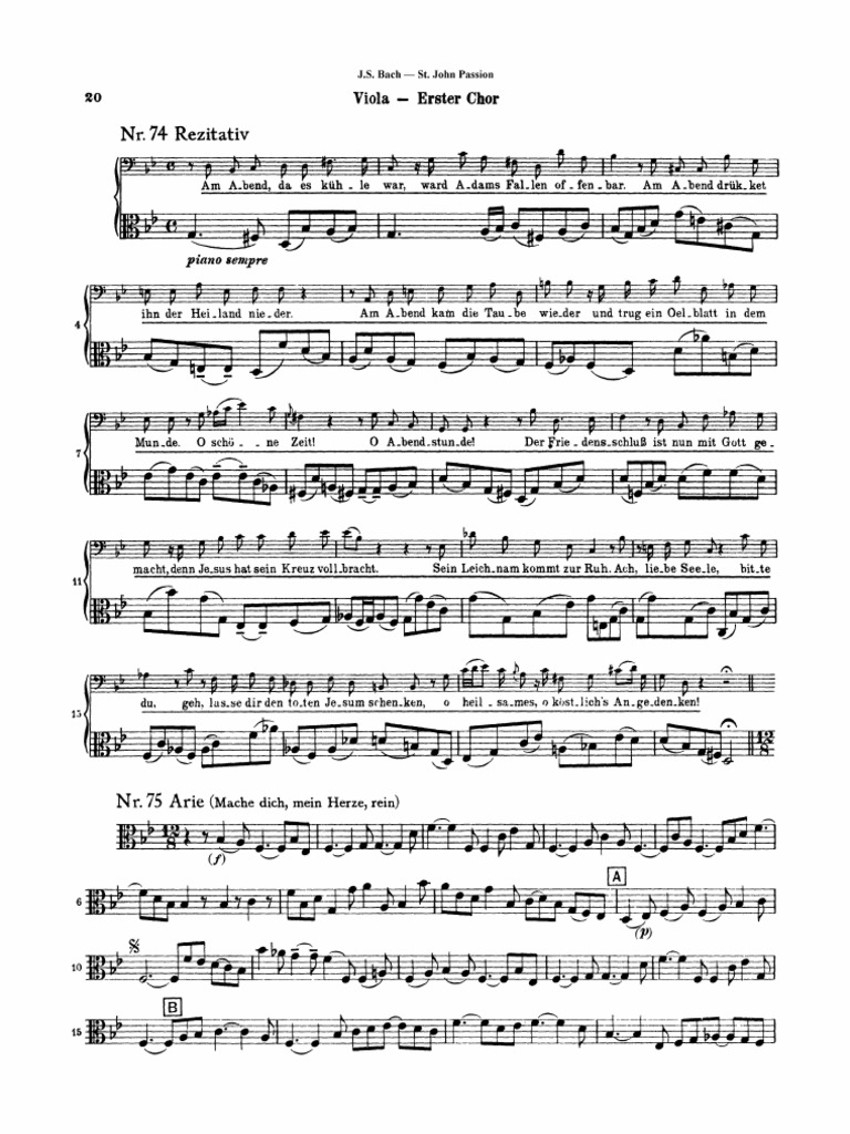 Viola | PDF