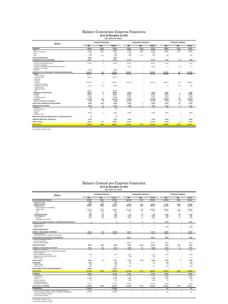 Balance General de Empresas Financieras 2022 | PDF | Hoja de balance ...