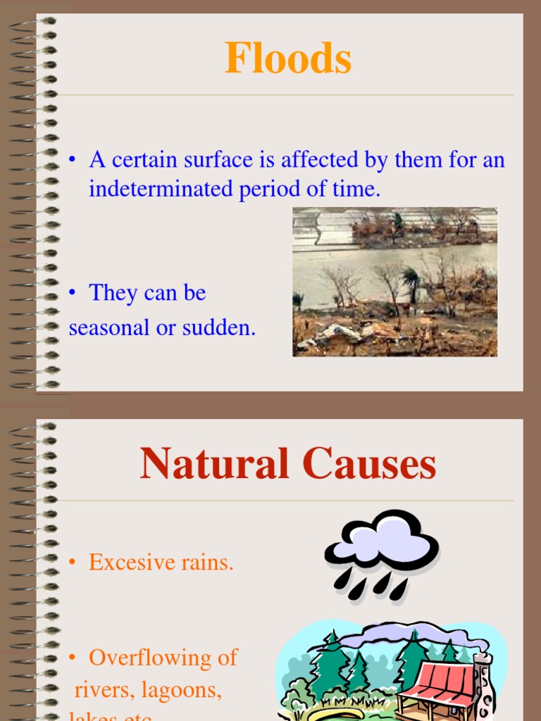Causes and Consequences of Floods | PDF | Technology & Engineering