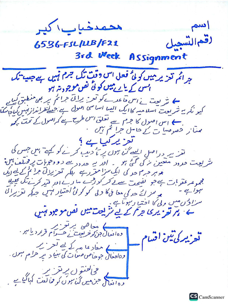 3rd Week Assignment فقہ الجنائی | PDF
