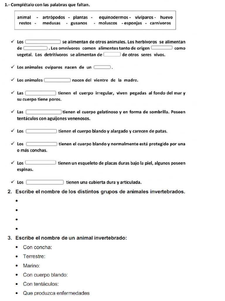 Examenes 5 Primaria Repaso | PDF
