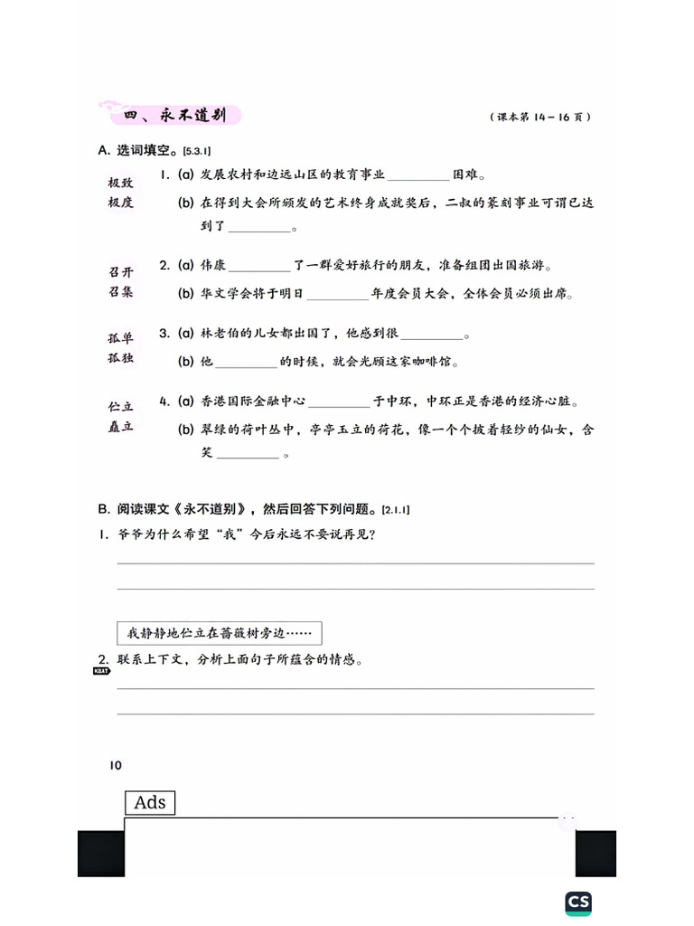 Chinese Chinese | PDF