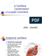 Anatomia Cardíaca e Coronária