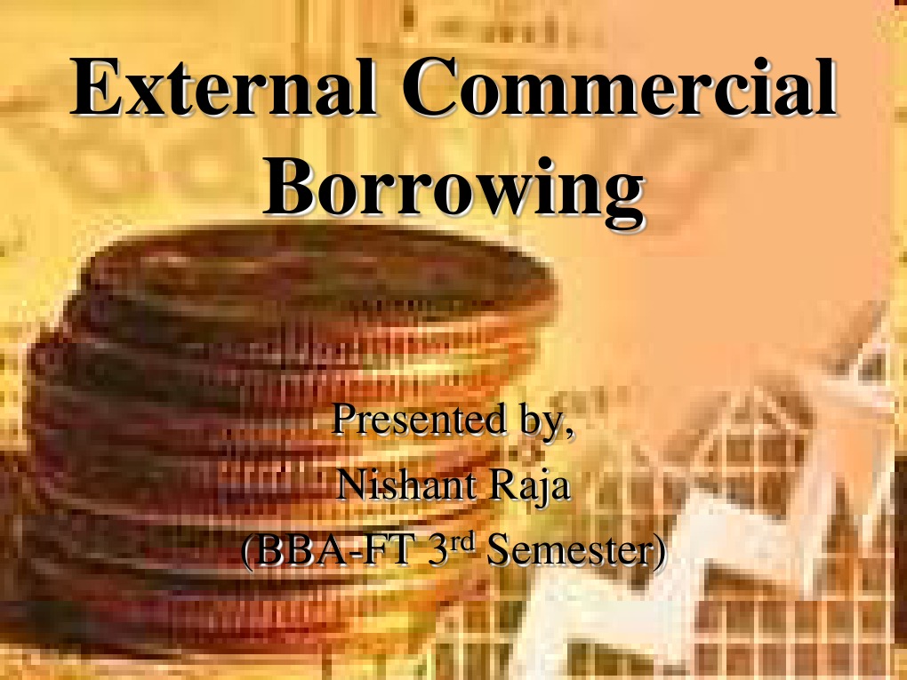 External Commercial Borrowing PDF European Central Bank