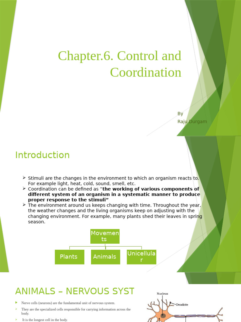 Control and Coordination in Organisms | PDF | Neuron | Endocrine System