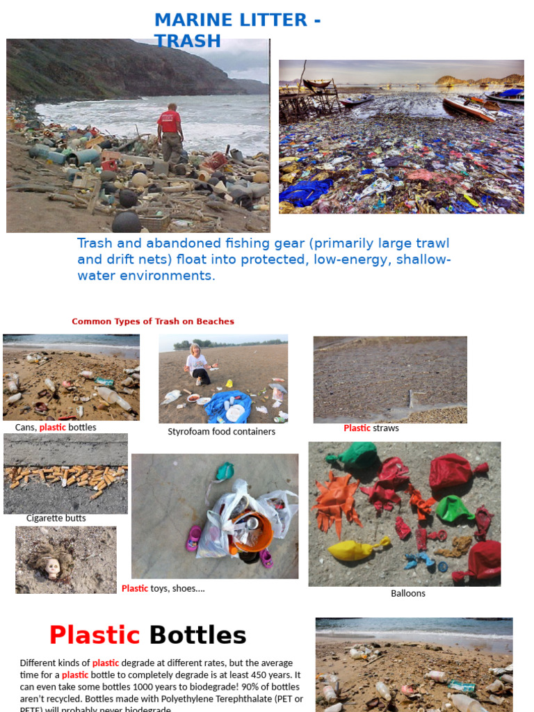 Marine Litter: Impact and Solutions | PDF