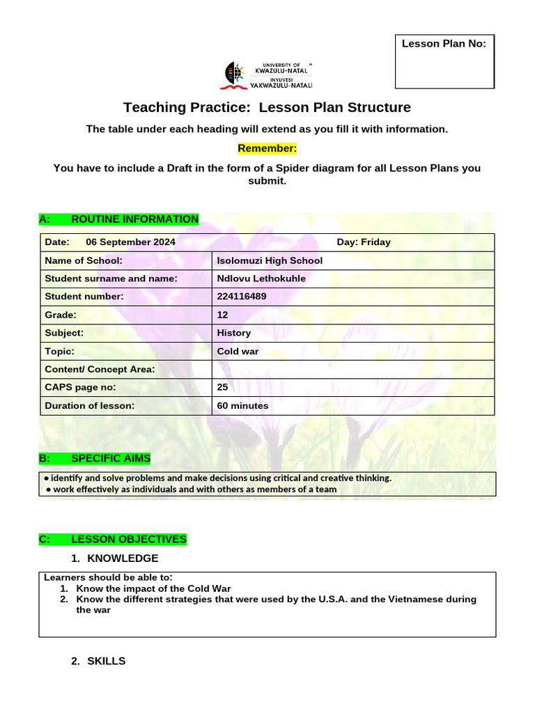 Mnyamane's Lesson Plan | PDF | Lesson Plan | Learning
