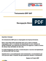 NAV01 Navegação Básica ERP SAP