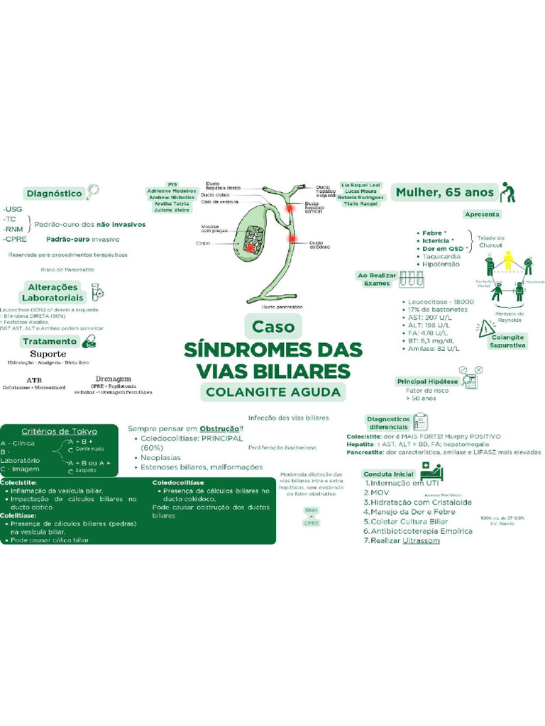 Mapa de Medicina | PDF