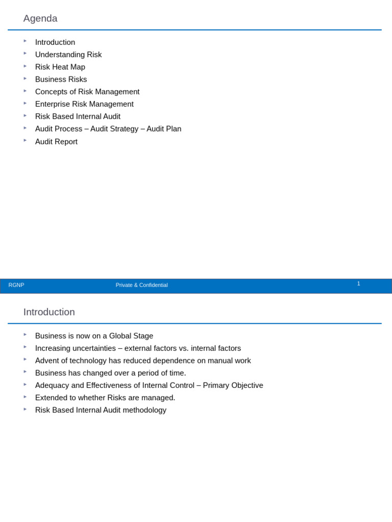Risk Management and Internal Audit Guide | PDF | Risk Management | Risk
