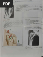 Forearm X-Ray Positioning Guide | PDF | Elbow | Thumb