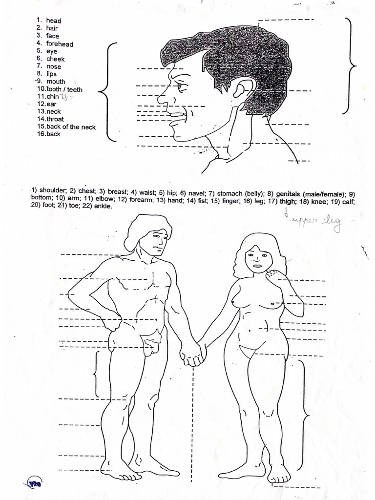 The Body Inside Outside IQ 2 | PDF
