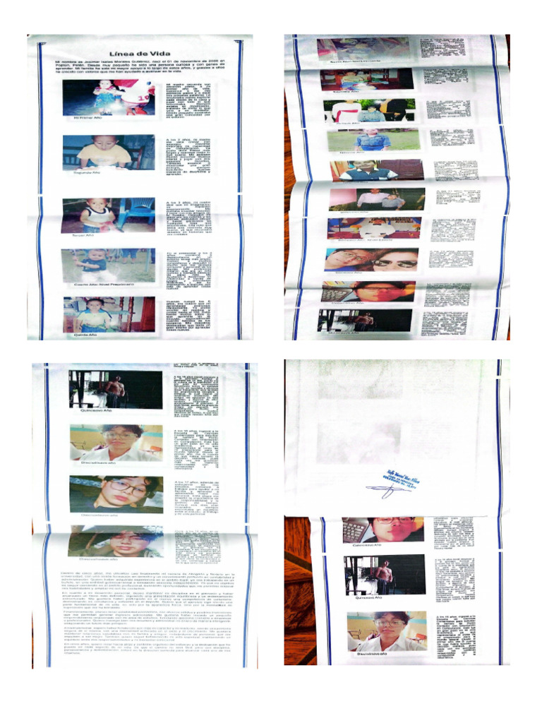 Linea | PDF