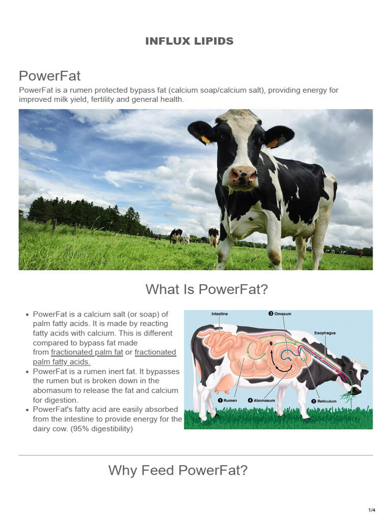 PowerFat: Rumen Protected Bypass Fat | PDF | Fat | Dairy Cattle