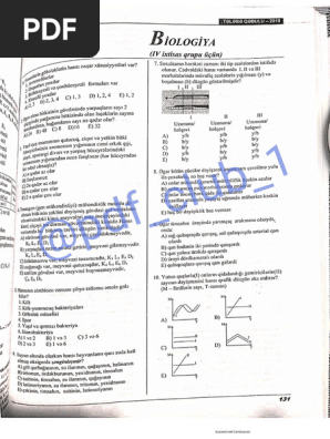 Dik sorish uning hayoti