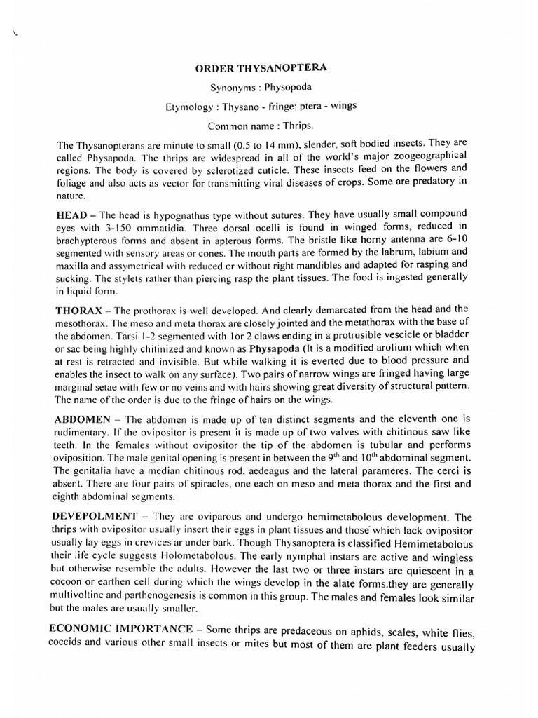 AEN 121 Notes (Swarnali Mam) | PDF