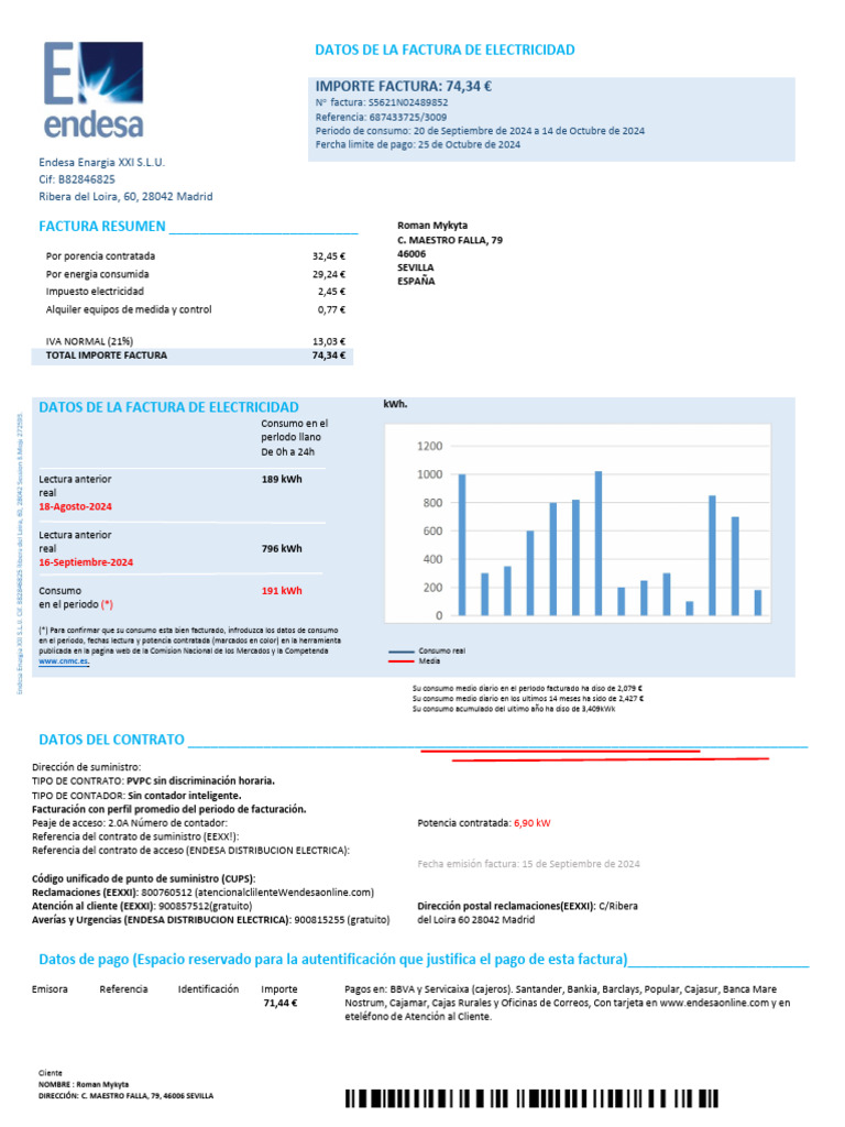 Factura de Electricidad Endesa: Resumen y Datos | PDF | Electricidad