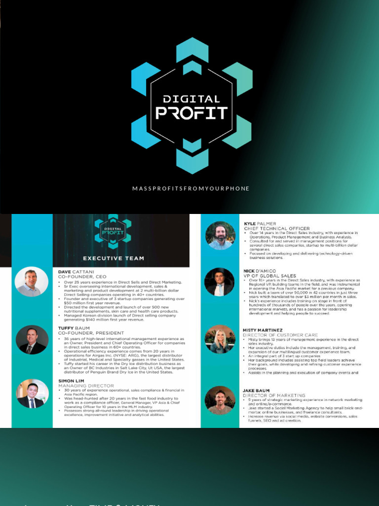 présentation de Digital profit | PDF | Cryptocurrency | Economies