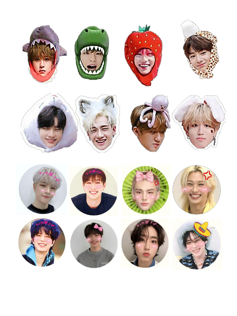 Stray Kids | PDF