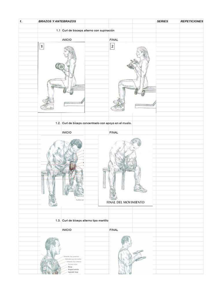 Rutina de Fuerza para Brazos y Hombros | PDF | Entrenamiento de fuerza ...