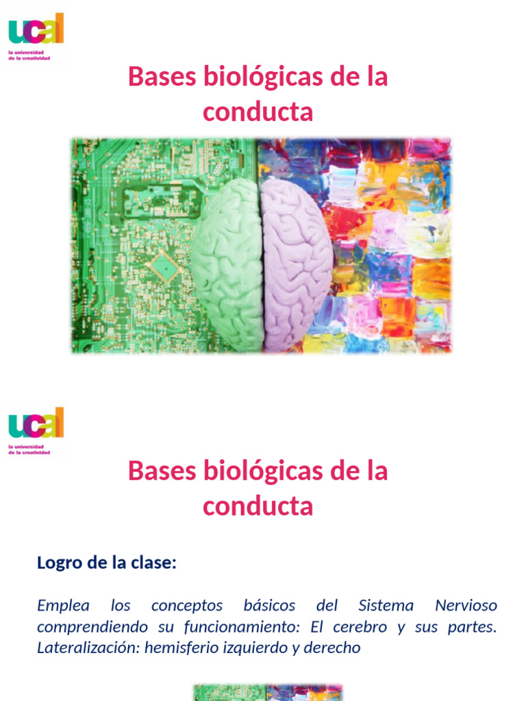 Bases biológicas de la conducta humana | PDF | Cerebro | Neurona