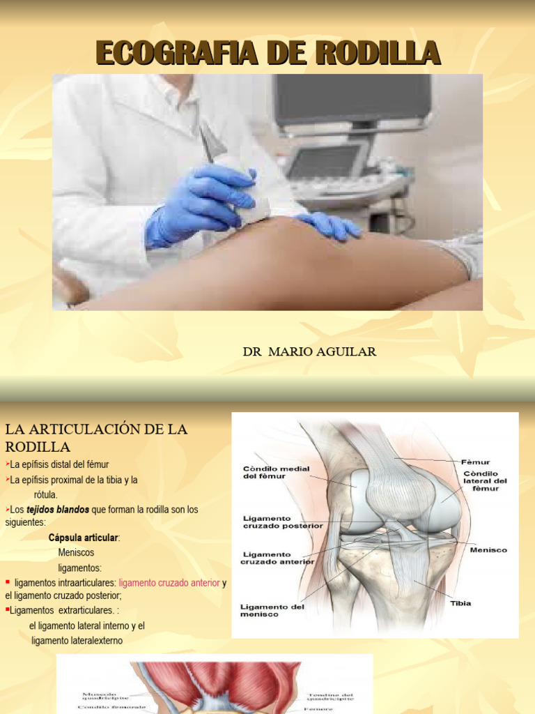 ecograf-a-de-rodilla-exploraci-n-y-patolog-as-pdf-rodilla